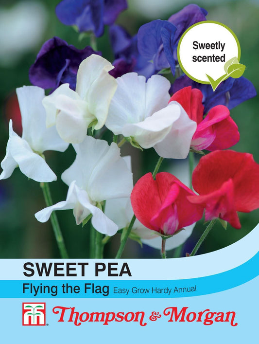Thompson & Morgan Sweet Pea Flying The Flag 20 Seed
