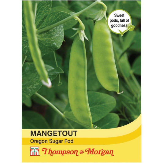 Thompson & Morgan Mangetout Oregon Sugar Pod 250 Seed