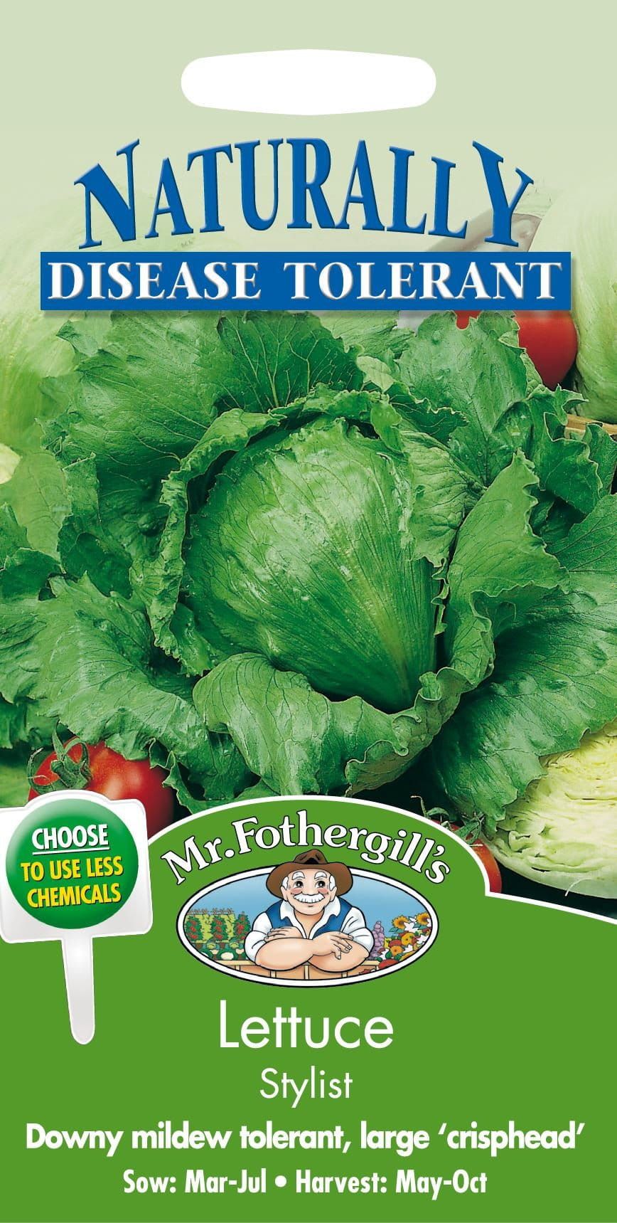 Mr Fothergills Lettuce Stylist 200 Seed