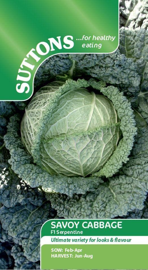 Sutton Seeds - Cabbage (Savoy) Seeds - F1 Serpentine