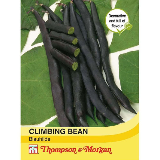 Thompson & Morgan Climbing Bean Blauhilde 70 Seed