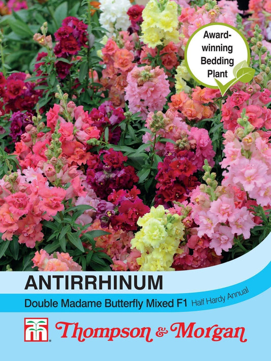 Thompson & Morgan Antirrhinum Double Madam Butterfly Mix Seed