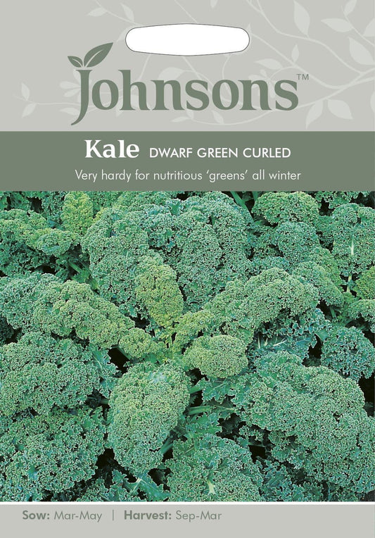 Johnsons Kale Dwarf Green Curled 400 Seeds