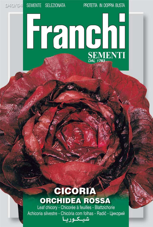 Franchi Seeds of Italy - DBO 40/64 - Chicory - Palla Rossa 3 Sel. Orchidea Rossa - Seeds