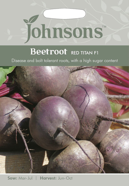 Johnsons Vegetable Beetroot Red Titan F1 100 Seeds
