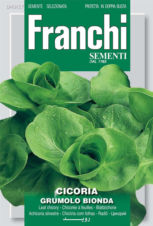 Franchi Seeds of Italy Chicory A Grumolo Bionda Seeds