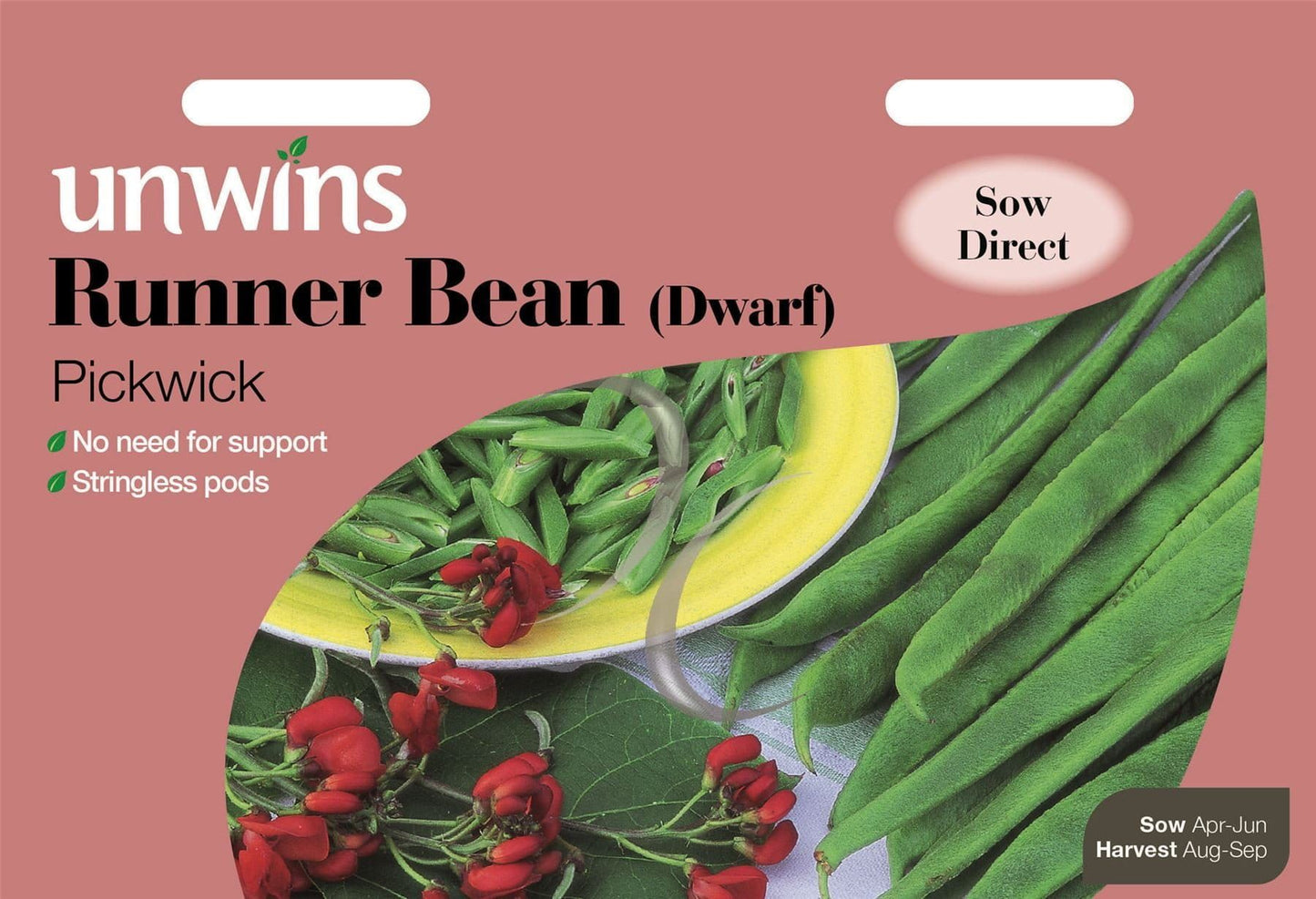 Unwins Runner Bean (Dwarf) Pickwick 40 Seeds