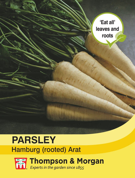 Thompson & Morgan - Vegetable - Parsley Hamburg - Arat - 200 Seeds