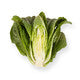 Lettuce Open Heart Cos Auvona RZ Seeds