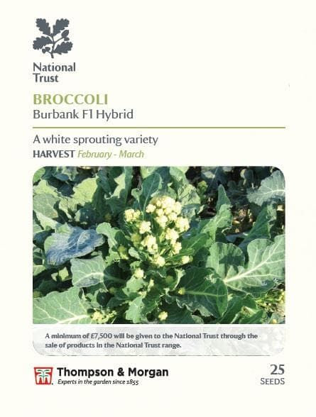 Thompson & Morgan National Trust Range Broccoli Burbank F1 Hybrid  25 seed