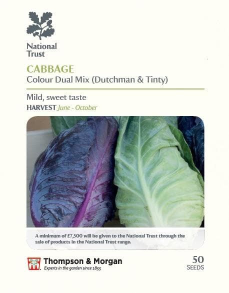 Thompson & Morgan National Trust Range Cabbage Colour Dual Mix (Tinty & Dutchman) 50 seed