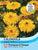 Thompson & Morgan Calendula Calexis Yellow 50 seed