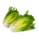 Lettuce Open Heart Cos Catriona RZ Seeds