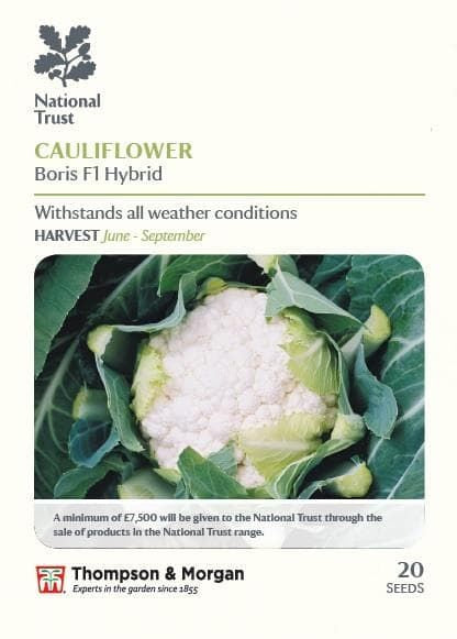 Thompson & Morgan National Trust Range Cauliflower Boris F1 Hybrid 20 seed