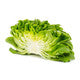 Lettuce Salanova Green Knox Chalmers RZ Seeds