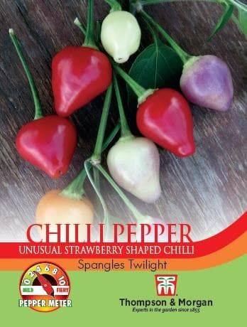 Thompson & Morgan Pepper Chilli Spangles Twilight 10 seed
