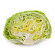 Lettuce Iceburg Knox Corianas RZ Seeds