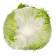 Lettuce Iceburg Knox Corianas RZ Seeds
