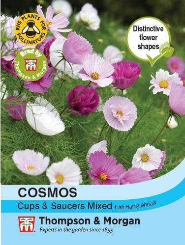 Thompson & Morgan Cosmos Cups & Saucers Mixed 50 seed