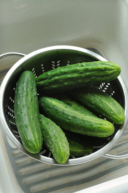 Cucumber Patio Snacker Seeds