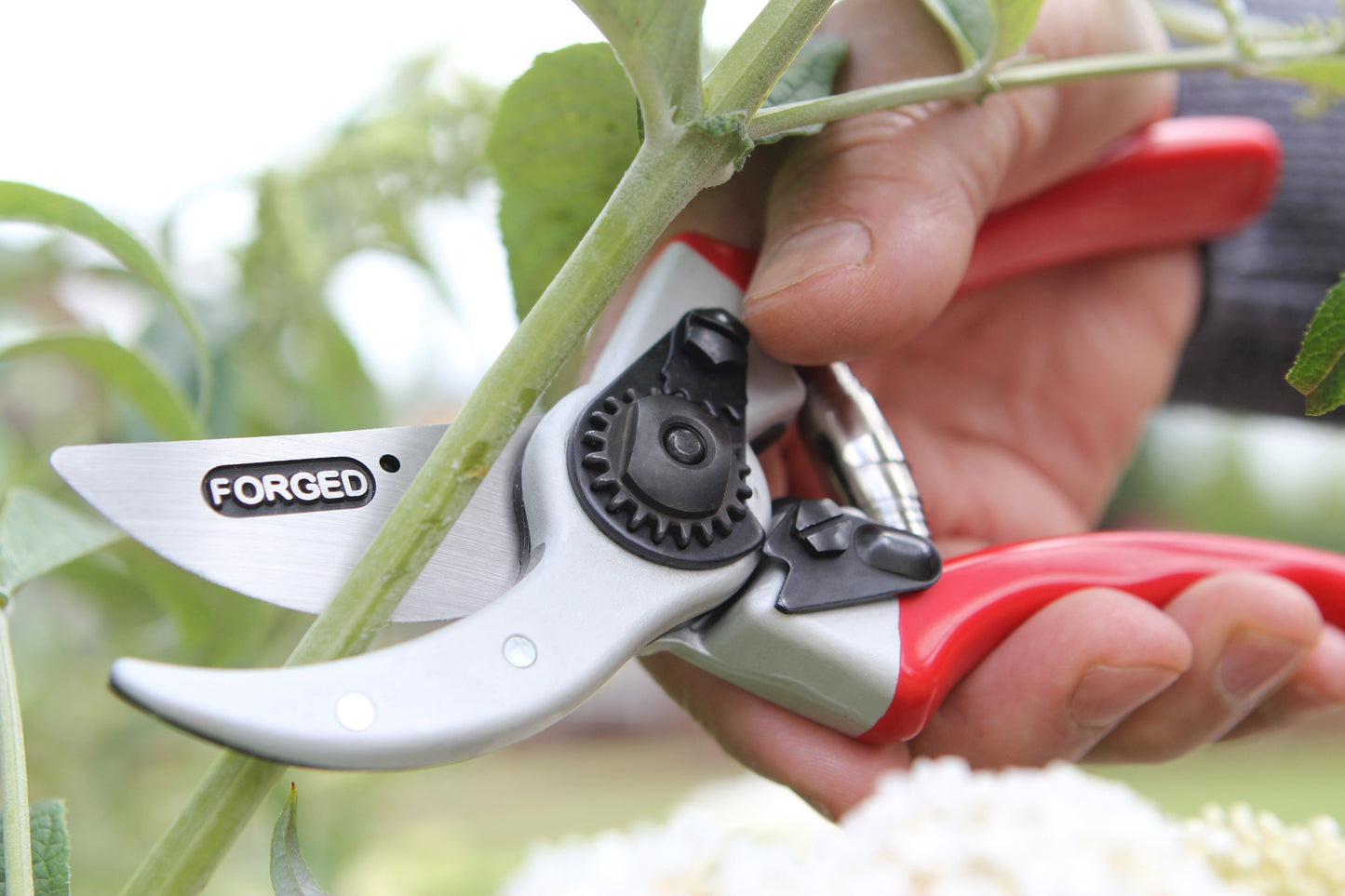Darlac DP1036 Expert Drop Forged Pruner UK SHIPPING ONLY