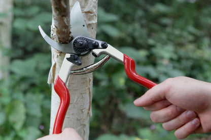 Darlac DP1040 Expert Dual Bypass Pruner UK SHIPPING ONLY