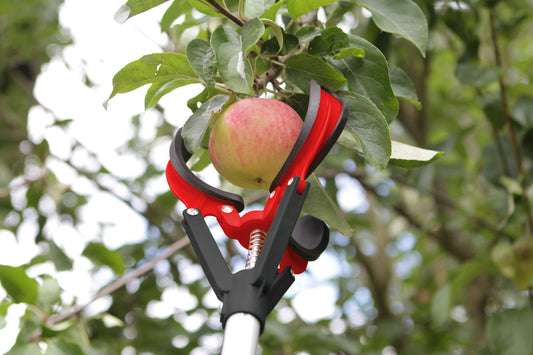 Darlac DP116 Telescopic Fruit Grabber UK SHIPPING ONLY