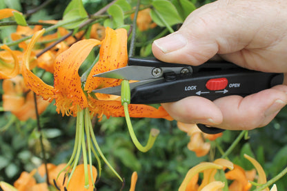 Darlac DP125 Deadheading Snips UK SHIPPING ONLY
