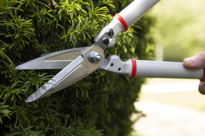 Darlac DP1426 Expert Bonsai & Topiary Shear UK SHIPPING ONLY