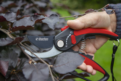 Darlac DP334 Adjustable Bypass Pruner UK SHIPPING ONLY