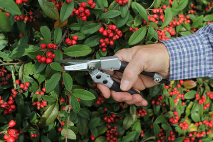 Darlac DP43 Compact Angled Snips UK SHIPPING ONLY