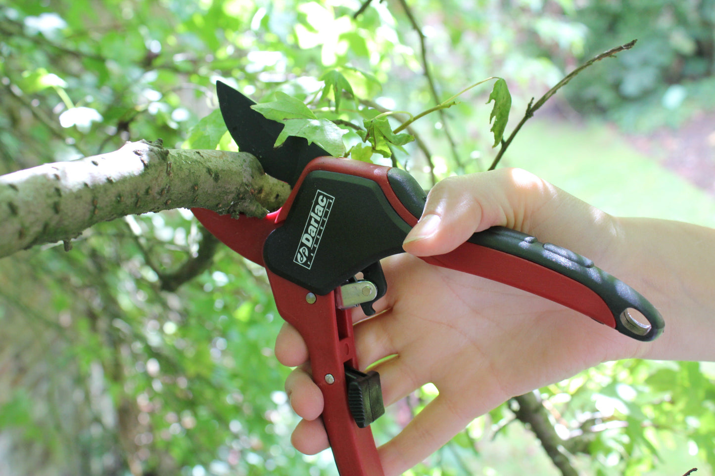 Darlac DP444 Classic Ratchet Pruner UK SHIPPING ONLY