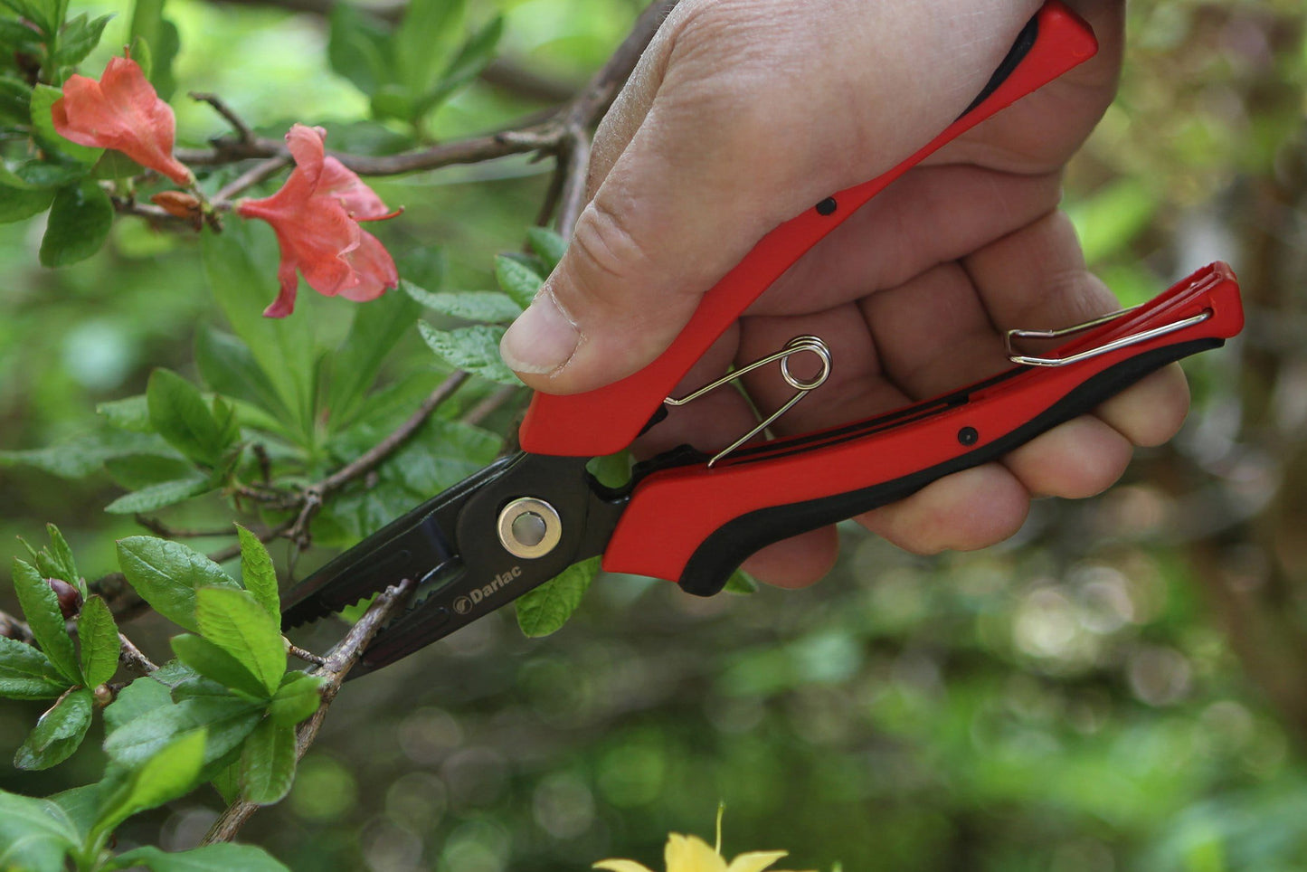Darlac DP636 Cut-n-Hold Flower Snips UK SHIPPING ONLY