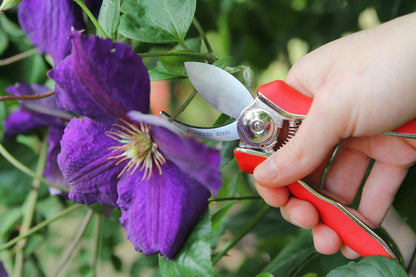 Darlac DP70 Mini Bypass Pruner UK SHIPPING ONLY