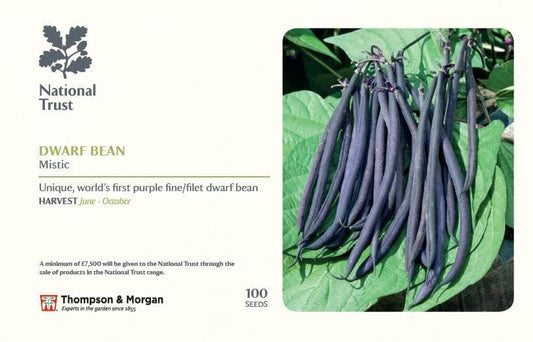 Thompson & Morgan National Trust Range Dwarf Bean Mistic 100 seed