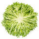 Lettuce Green Incised Salanova Exanimo RZ - LS11106 Seeds