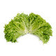 Lettuce Blond Incised Excursus RZ Seeds
