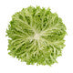 Lettuce Blond Incised EXCURSUS RZ - LS10898 Seeds