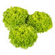 Lettuce Blond Crispy Exwatch RZ - LS11215 Seeds