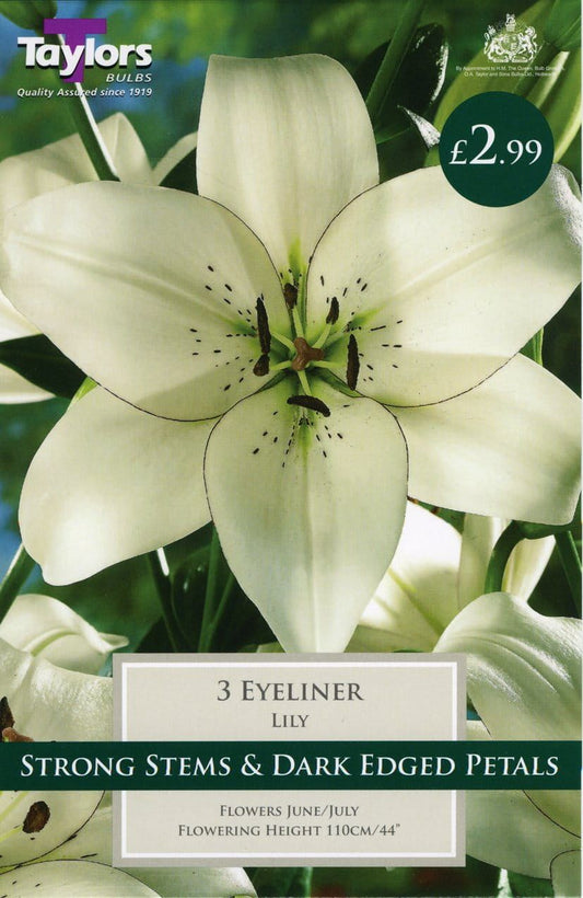 Taylors Flower - Lily - Eyeliner - Asiatic Lilies - 3 Bulb