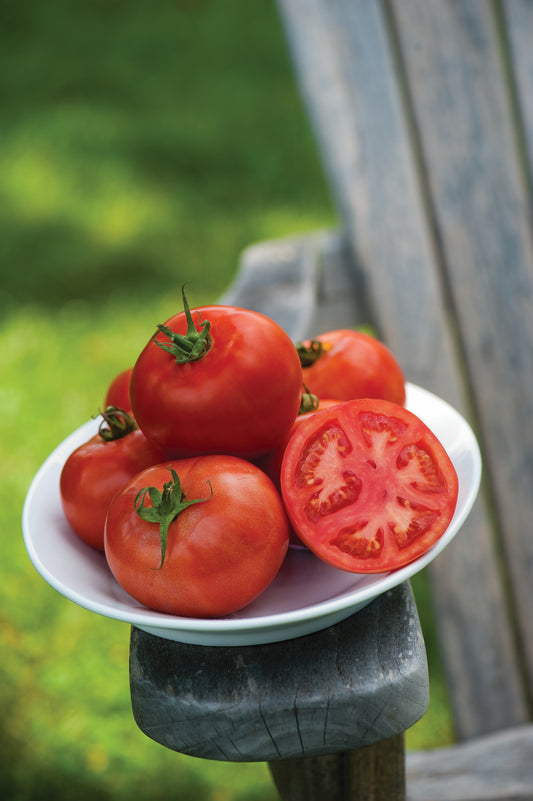 Tomato Fordhook Early VF Seeds