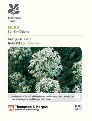Thompson & Morgan National Trust Range Herb Garlic Chives 100 seed