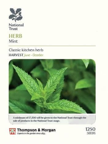 Thompson & Morgan National Trust Range Herb Mint 1250 seed