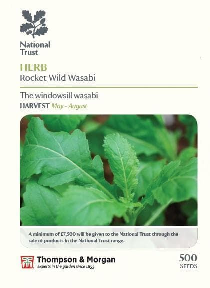 Thompson & Morgan National Trust Range Herb Rocket Wild Wasabi 500 seed
