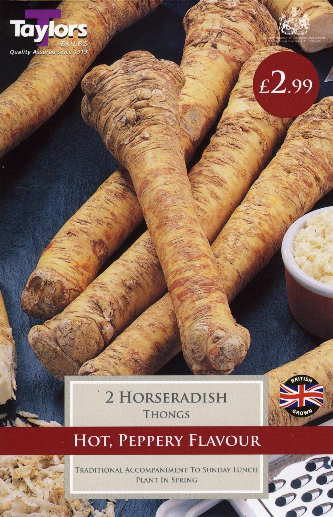 Taylors - Horseradish - 2 Roots