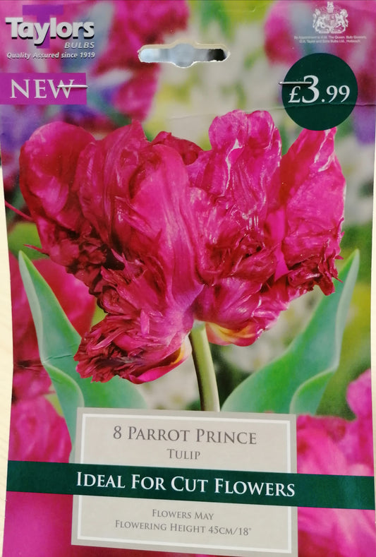 Taylors - Tulip Parrot Prince 11/12cm - 7 Bulbs