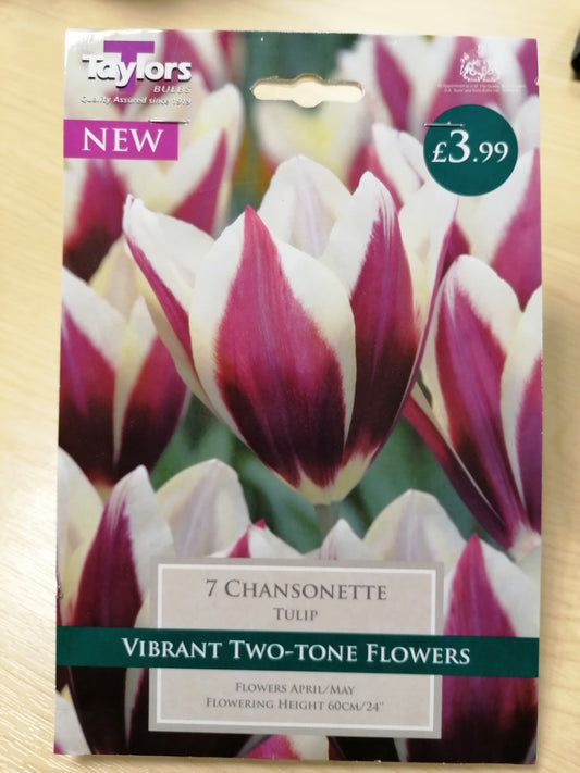 Taylors - Tulip Chansonette- 11/12cm - 7 Bulbs