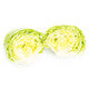 Lettuce Iceberg Kyoto RZ - LS10842 Seeds