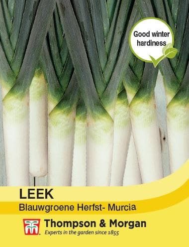 Thompson & Morgan Leek Blauwgroene Herfst- Murcia 100 seed