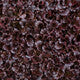 Lettuce Red Lollo Rossa Lidivia RZ - LS10647 Seeds